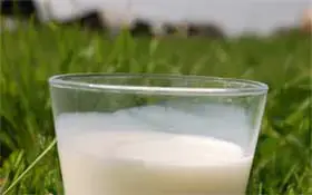 Rever De Lait Islam Signification Sens Interpretations Nombreuses